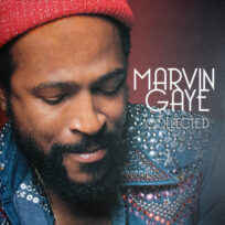 Marvin Gaye – Collected (2 LP white and silver vinyl)