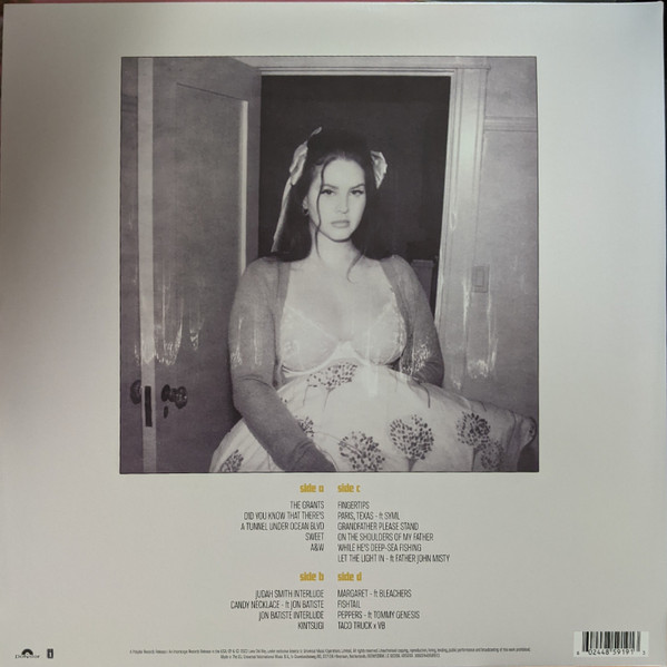 Lana Del Rey – Did You Know That There's A Tunnel Under Ocean Blvd (2 LP) - Imagen 2