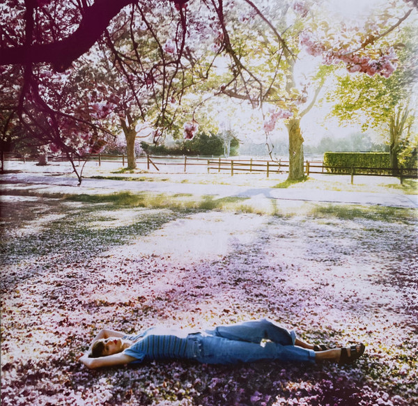 Taylor Swift – Speak Now: Taylor's Version (3 LP orchid marbled vinyl) - Imagen 12