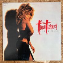 Tina Turner – Typical Male (Dance Mix) (12") Maxi singles (Época USA)