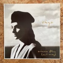 Enya – Orinoco Flow (Época Alemania)