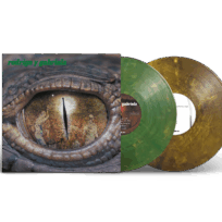 Rodrigo y Gabriela - Rodrigo Y Gabriela (20th Anniversary) + Re-Foc (2 LP yellow and green vinyl)