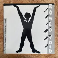 Romeo Void - A Girl In Trouble (Is A Temporary Thing) (Maxi-Single 12") (Época, USA)