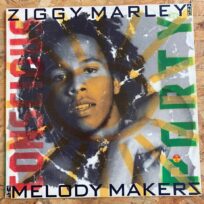 Ziggy Marley And The Melody Makers – Conscious Party (Época, USA)