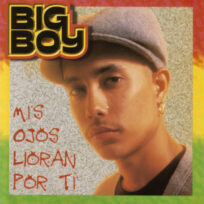 Big Boy – Mis Ojos Lloran Por Ti (Vinilo Amarillo)